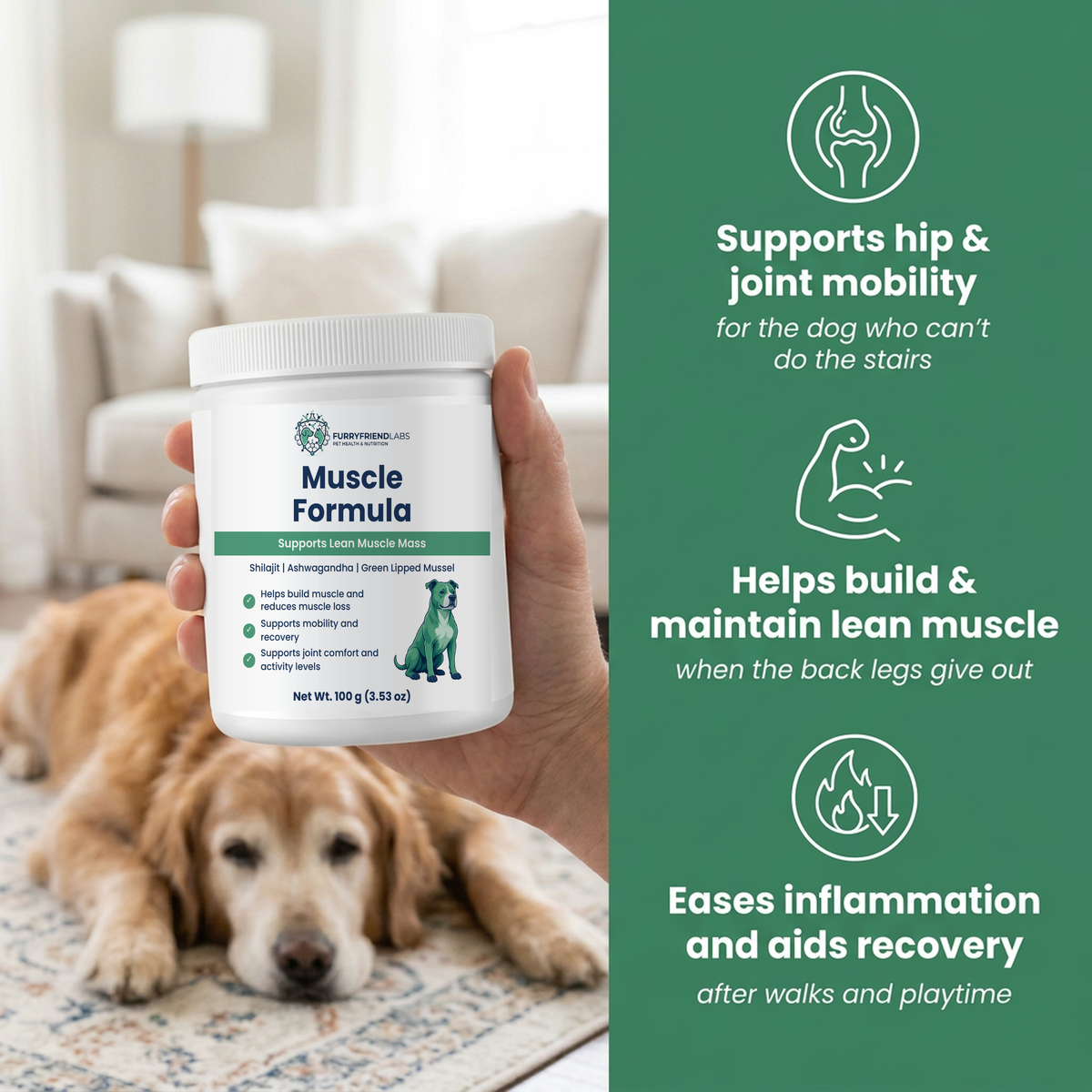 Muscle Formula - Benefits for senior dogs